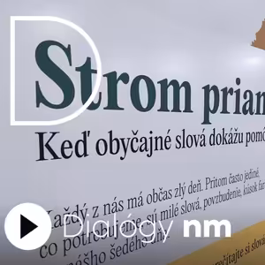 Stromy prianí ako prevencia duševných porúch. Ako sa im darí po mesiacoch od ich uvedenia?