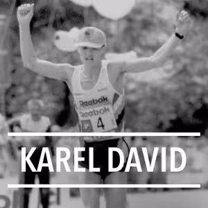Karel David