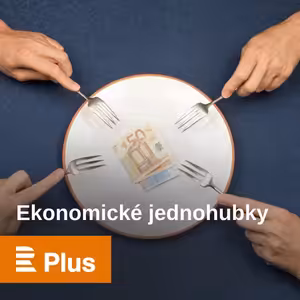 Centrální banka zabezpečuje cenovou stabilitu i kontroluje komerční banky. Jak si v tom vede ČNB?