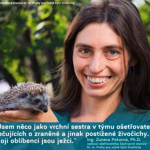 Zátiší 4/5/2022: Zuzana Pokorná a Záchranná stanice hl. m. Prahy pro volně žijící živočichy