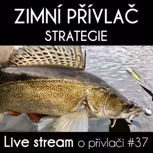 Přívlač Live #37 - Zimní strategie lovu!