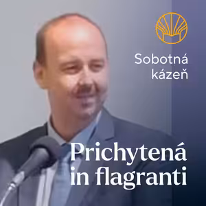📖 Prichytená in flagranti • Pavel Moudrý