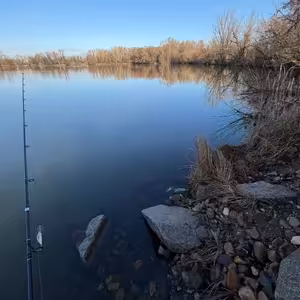 Prosincové chytání 28. díl