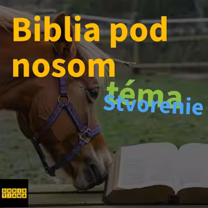 Biblia pod nosom - Stvorenie - Todd Patterson