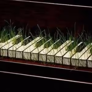 Rodna Cesta - 2015-05-12 Hudba a duch V. časť