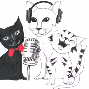 PODCAST - 8 Kam se poděl kocour Fanouš