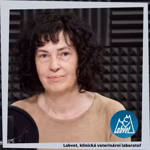 Vnitřní paraziti psů