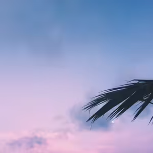 SCARFEJS- NIGHTVIBE (prod.WIWKY)