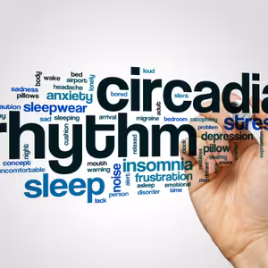 Audio článok adaptácia na chlad #5 Leptín a cirkadiánny rytmus