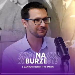 D. Brzek: Firmu s kapitalizací 40 mld. by trh klidně zvládl. IPOs na pražské burze nemůžu ignorovat.