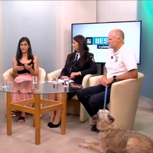 Štvornohí spoluobčania