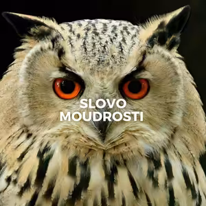 DARY DUCHA SVATÉHO | SLOVO MOUDROSTI