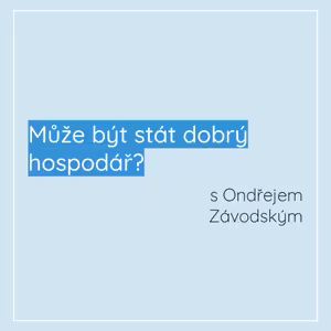 Může být stát dobrý hospodář?