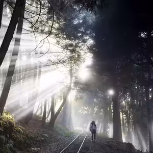 Japonsko, vyvrheľ ďalekého východu