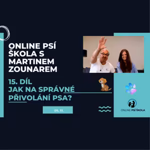 #15 Jak na správné přivolání psa?