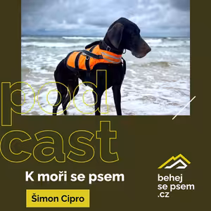 K moři se psem