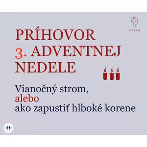 VIANOČNÝ STROM, alebo ako zapustiť hlboké korene