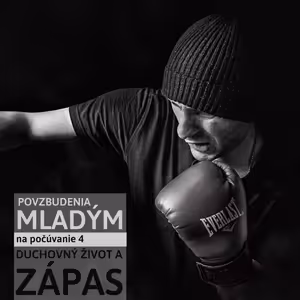 ZÁPAS /4