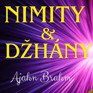Nimity a džhány🧘| Ajahn Brahm | 2013