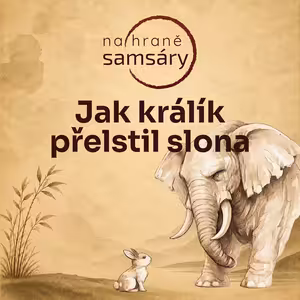 20. Jak králík přelstil slona