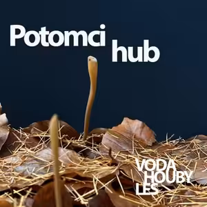 Potomci hub - Lenka Vráblíková: Feministická etnomykologie a politika vizuální kultury