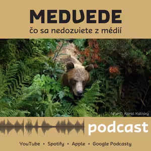 Medvede - čo sa nedozviete z médií