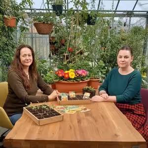 Zahrádkářská poradna o prvním setí do záhonů i trvalkách za oknem