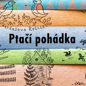 Ptačí pohádka