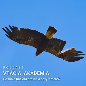 Čo je ťažšie? Kilo železa alebo kilo peria?