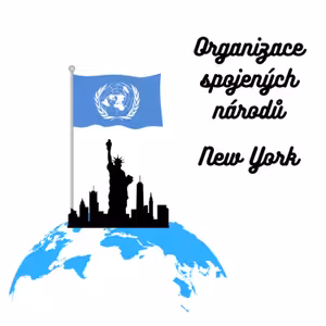 (Vý)letový režim #25: Stáž v Radě bezpečnosti OSN