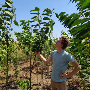 #18: Ovocná školka: Od semínka po stromek