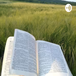 Učeníci Bernolákovo