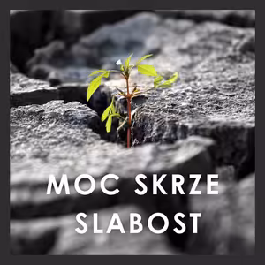26|05|03|Honza Panovský | Moc skrze slabost