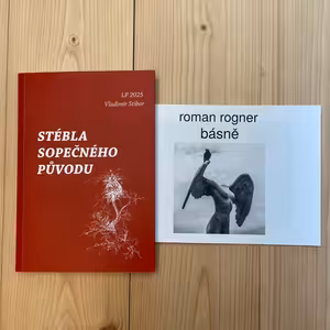 Čtení Poetického klubu - Vladimír Stibor + Roman Rogner