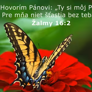 Modlitba online sk 4-11 Ty si môj Pán