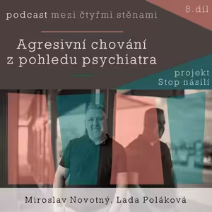 Agresivní chování z pohledu psychiatra