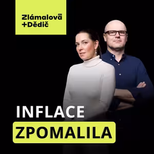 Ceny ropy rostou. Proč se teda v Česku zpomalilo zdražování?