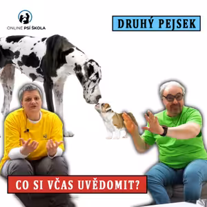 #38 Druhý pejsek? Co byste měli vědět?