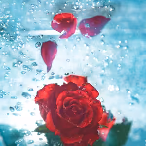 Otevírání studánek pro ženskou duši - 17 – Naděje - 2020-01-08