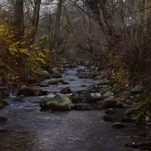 Nasledovanie Ježiša