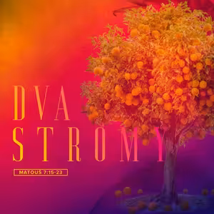 Dva stromy - Honza Měrka (17.9.2023)