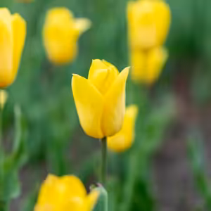 Všední život jako podobenství k rozeznání Boží lásky