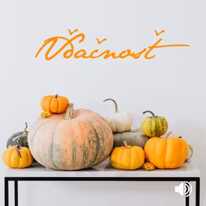 Vďačnosť ako každodenný zápas viery