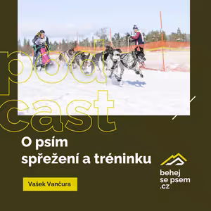 O psím spřežení a tréninku | Vašek Vančura