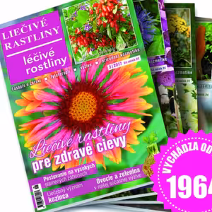 Liečivé rastliny 03 Zdravé tehotenstvo