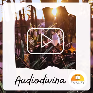 Audiodivina-Slovo, ktoré neomrzí počúvať