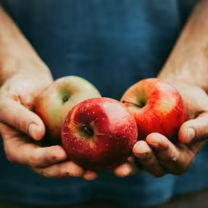 Srpen 2021 - Plody naše vezdejší