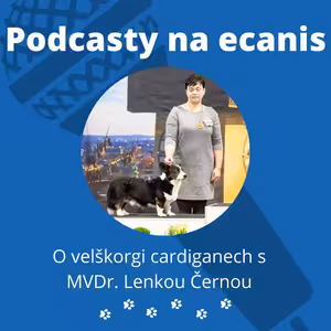 O velškorgi cardiganech s MVDr. Lenkou Černou!