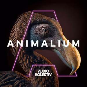 Animalium