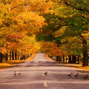 Dopoludnie na Infovojne s Adrianom 11.10.2023